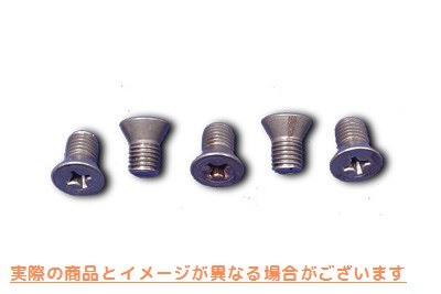 10-0518 左手ピニオンシャフトネジ Left Hand Pinion Shaft Screws 取寄せ Vツイン (検索用／24020-51 Eastern 24020-51K