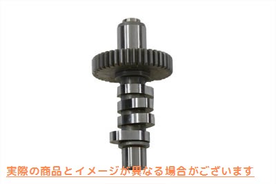 10-2890 アンドリュース #10 グラインドカム高性能 取寄せ Vツイン Andrews #10 Grind Cam High Performance (検索用／ Andrews