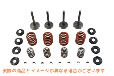 11-0794 硝酸塩バルブおよびスプリングキット 取寄せ Vツイン Nitrate Valve and Spring Kit (検索用／