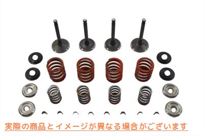 11-0795 硝酸塩バルブおよびスプリングキット 取寄せ Vツイン Nitrate Valve and Spring Kit (検索用／