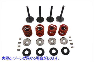 11-0796 硝酸塩バルブおよびスプリングキット 取寄せ Vツイン Nitrate Valve and Spring Kit (検索用／
