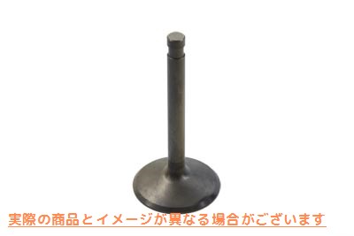 11-1132 ステンレス鋼製硝酸塩吸入バルブ 取寄せ Vツイン Stainless Steel Nitrate Intake Valve (検索用／18075-81