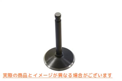 11-6015 2.00 ブラックダイヤモンド硝酸塩インテークバルブ 取寄せ Vツイン 2.00 Black Diamond Nitrate Intake Valve (検索用／