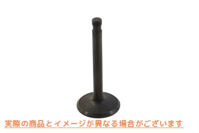 11-9659 ステンレス鋼製硝酸塩吸入バルブ 取寄せ Vツイン Stainless Steel Nitrate Intake Valve (検索用／18071-48