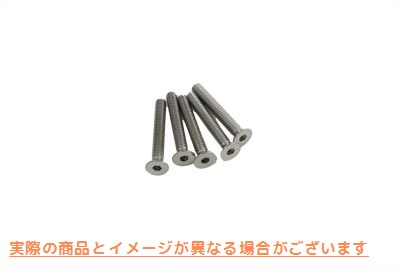 17-0074 トランスミッションラチェットトップシフタースクリューセット Transmission Ratchet Top Shifter Screw Set 取寄せ Vツ