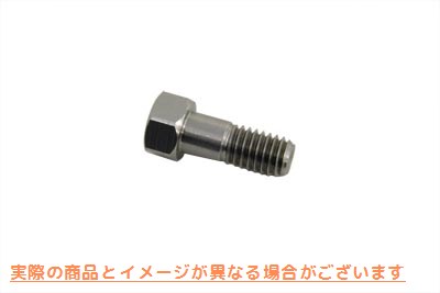 17-0227 シフターカムボルト 取寄せ Vツイン Shifter Cam Bolt (検索用／4621