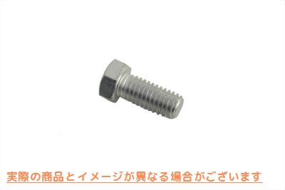 17-0231 シフターカムボルト 取寄せ Vツイン Shifter Cam Bolt (検索用／3854