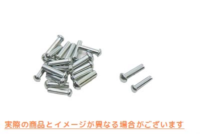 19-0110 スプロケットリベットノックピンセット Sprocket Rivet Dowel Pin Set 取寄せ Vツイン (検索用／