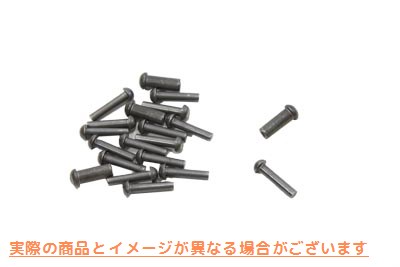 19-0114 リベットとノックピンキット 取寄せ Vツイン Rivet and Dowel Pin Kit (検索用／8486 41485-30 Eastern J-1-121