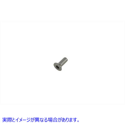 21-1997 Chrome Shifter Allen Screws 取寄せ Vツイン (検索用／1767W V-Twin