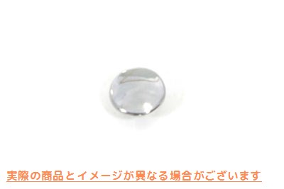 2164-100 1/4 インチ アレン キャップ クローム 1/4 inch Allen Caps Chrome 取寄せ Vツイン (検索用／ Colony