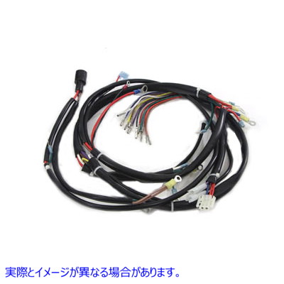 32-9209 メインワイヤーハーネス 取寄せ Vツイン Main Wiring Harness (検索用／70006-79