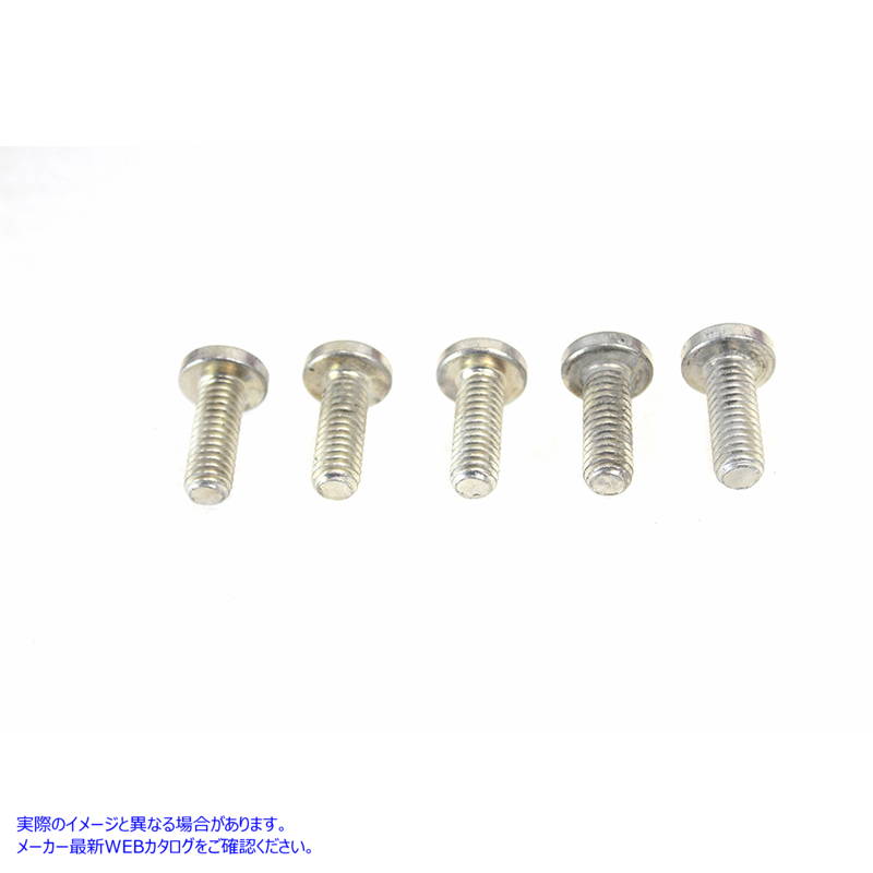 3267-5 亜鉛フロントブレーキディスクボルトセット Zinc Front Brake Disc Bolt Set 取寄せ Vツイン (検索用／3655 Colony