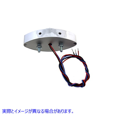 33-0619 スパイク スタイル クローム LED ライセンス プレート ランプ Spike Style Chrome LED License Plate Lamp 取寄せ Vツイ