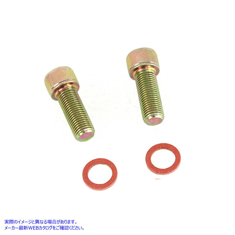 3318-4 ダンパーフォークチューブネジとワッシャーキット 亜鉛メッキ 取寄せ Vツイン Damper Fork Tube Screw and Washer Kit Zi