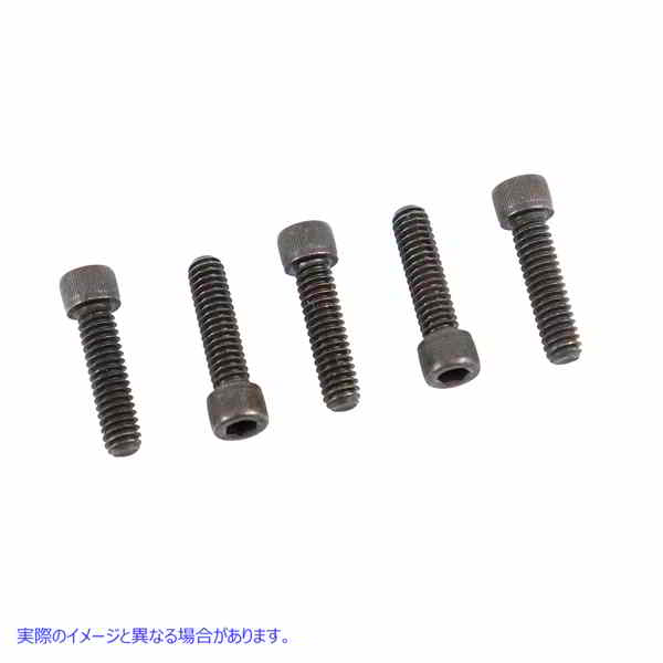 37-0049 アレンキャップスクリュー ブラック 1/4 インチ-20 x 3/4 インチ Allen Cap Screw Black 1/4 inch-20 x 3/4 inch 取寄せ