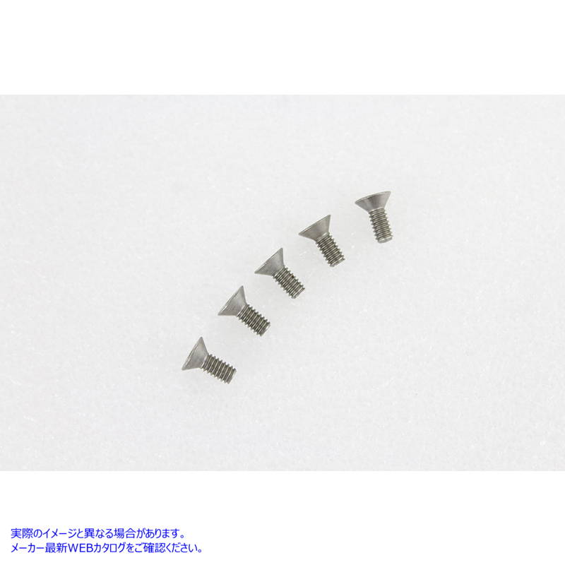 37-0179 1/4インチ-20 x 5/8インチ皿ネジステンレス鋼 1/4 inch-20 x 5/8 inch Flathead Screw Stainless Steel 取寄せ Vツイン