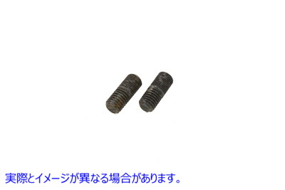 37-8859 助手席ステップスタッドセット Passenger Footpeg Stud Set 取寄せ Vツイン (検索用／