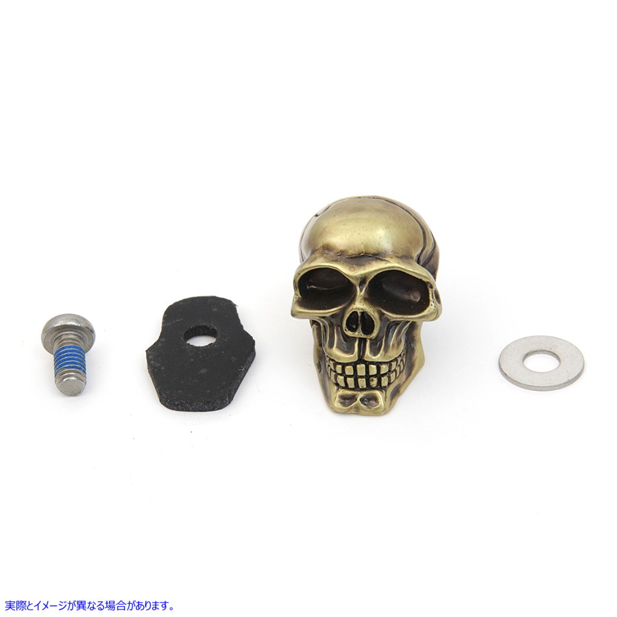 48-1389 スカルセット緑青 Skull Set Patina 取寄せ Vツイン (検索用／ V-Twin