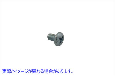 49-0161 ハンドルバーグリップキャップスクリュー 取寄せ Vツイン Handlebar Grip Cap Screw (検索用／2594