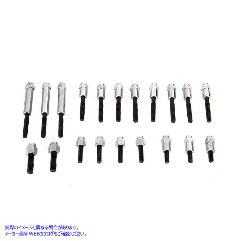 8482-20 クロムプライマリカバーネジキットキャップスタイル Chrome Primary Cover Screw Kit Cap Style 取寄せ Vツイン (検索用／ Colony