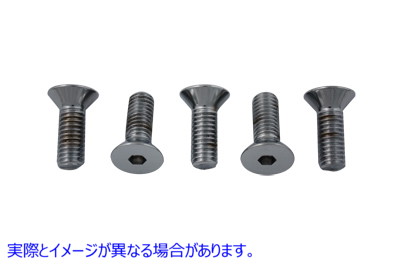 8792-5 ディスクボルトキット クローム 取寄せ Vツイン Disc Bolt Kit Chrome (検索用／1643 Colony