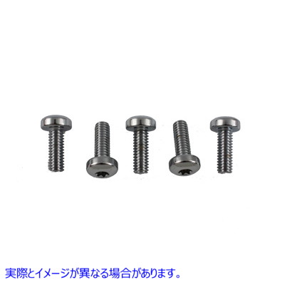 8793-5T Chrome Front Brake Disc Bolt 取寄せ Vツイン (検索用／ V-Twin