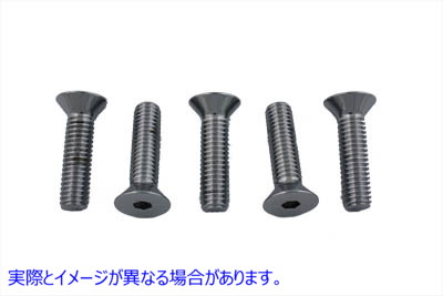 8847-5 フロントディスク用クロームボルト 7/16インチ X 14インチ X 1-3/4インチ Chrome Bolt for Front Disc 7/16 inch X 14 in