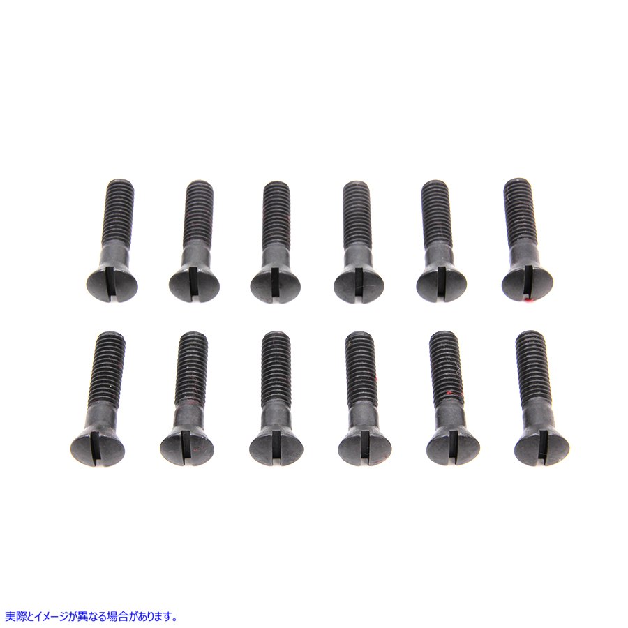 9621-12 カムカバースクリューキット パーカーライズド 取寄せ Vツイン Cam Cover Screw Kit Parkerized (検索用／ Colony