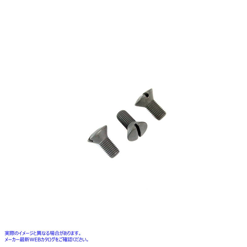 9710-3 パーカーライズド楕円頭ネジキット Parkerized Oval Head Screw Kit 取寄せ Vツイン (検索用／ Colony