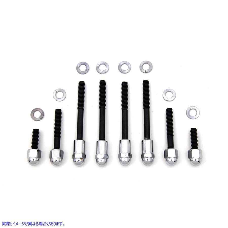 9763-16 Oil Pump Mount Kit Acorn Type Chrome 取寄せ Vツイン (検索用／ Colony