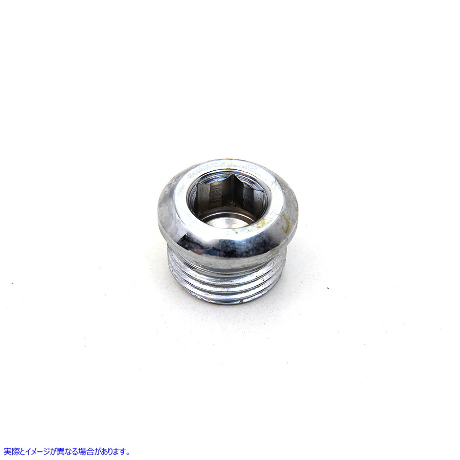 9960-1 クローム オーバーサイズ アレン タイミング プラグ Chrome Oversize Allen Timing Plug 取寄せ Vツイン (検索用／ Colon